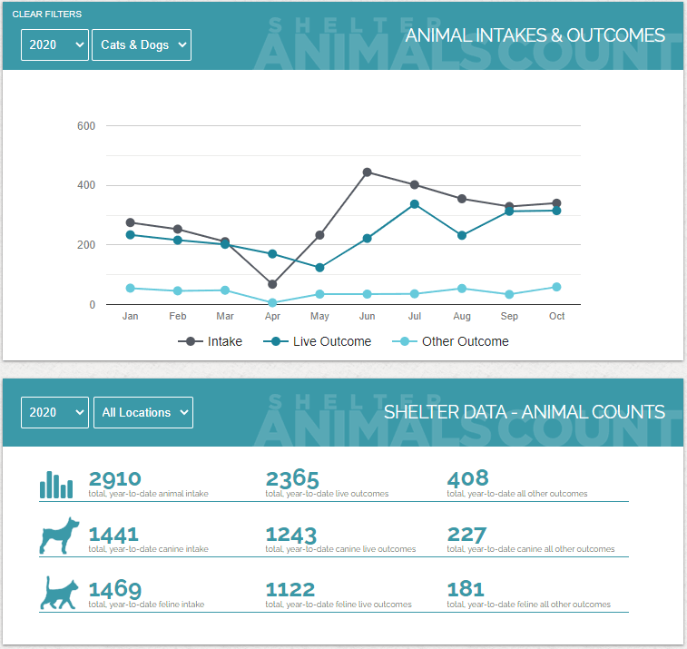 October Shelter animals count graphic
