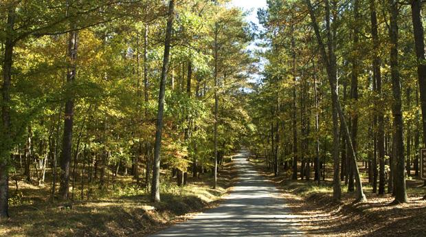 McIntosh Reserve Park trail