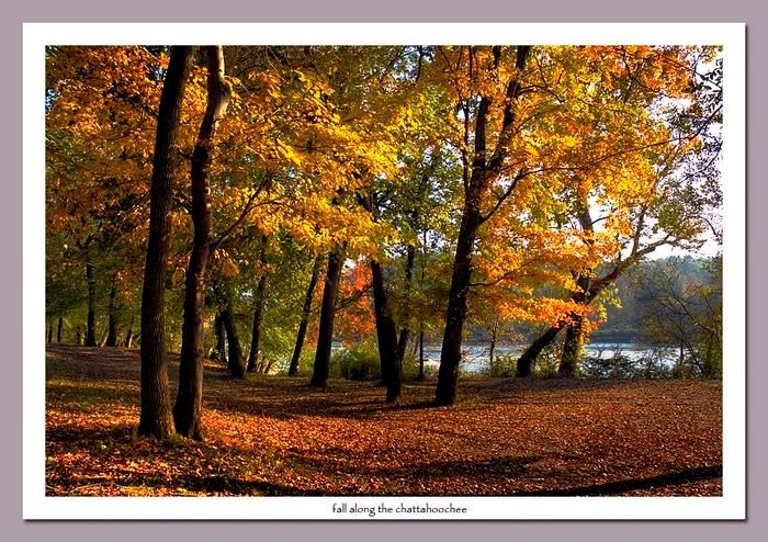 101806 mcintosh fall along the chattahoochee1943 7002