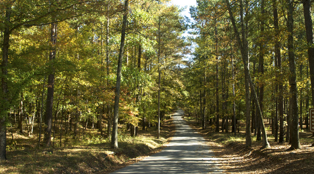 McIntosh Reserve Park trail